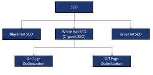 Types Of Search Engine Optimization (Seo)