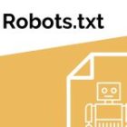 How to Create a Robots.txt File  in 5 Steps for a WordPress Site