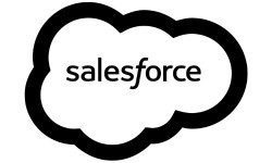 salesforce logo SEM REVIVAL